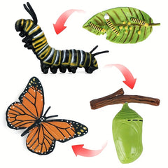 9pcs Life Cycle Figurines Toy Set Butterflies Frogs Educational School Project