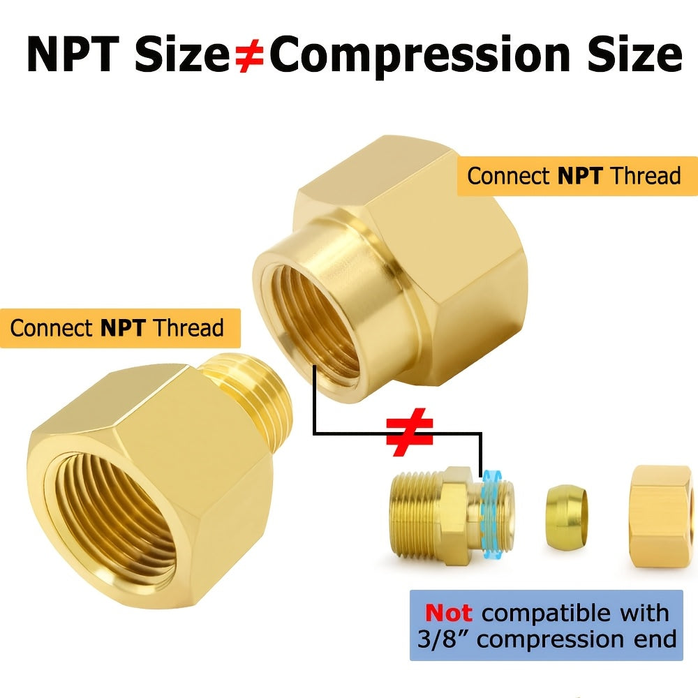 img_12375543