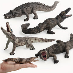 Crocodile Model Set for Enthusiasts