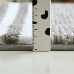 Absorbent Non Slip Bathroom Floor Mat Thickened High Plush Carpet