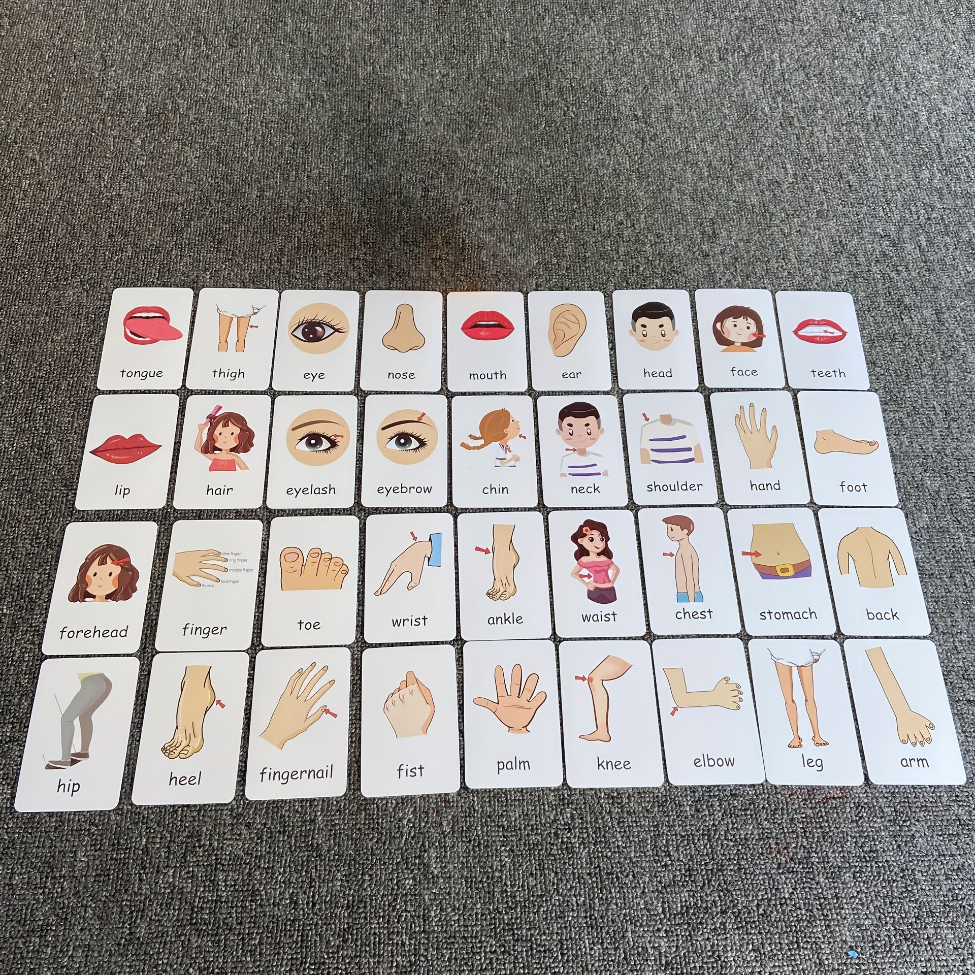 Montessori Body Part Flash Cards for Kids - Educational Toy