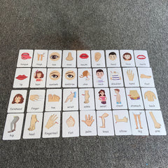 Montessori Body Part Flash Cards for Kids - Educational Toy