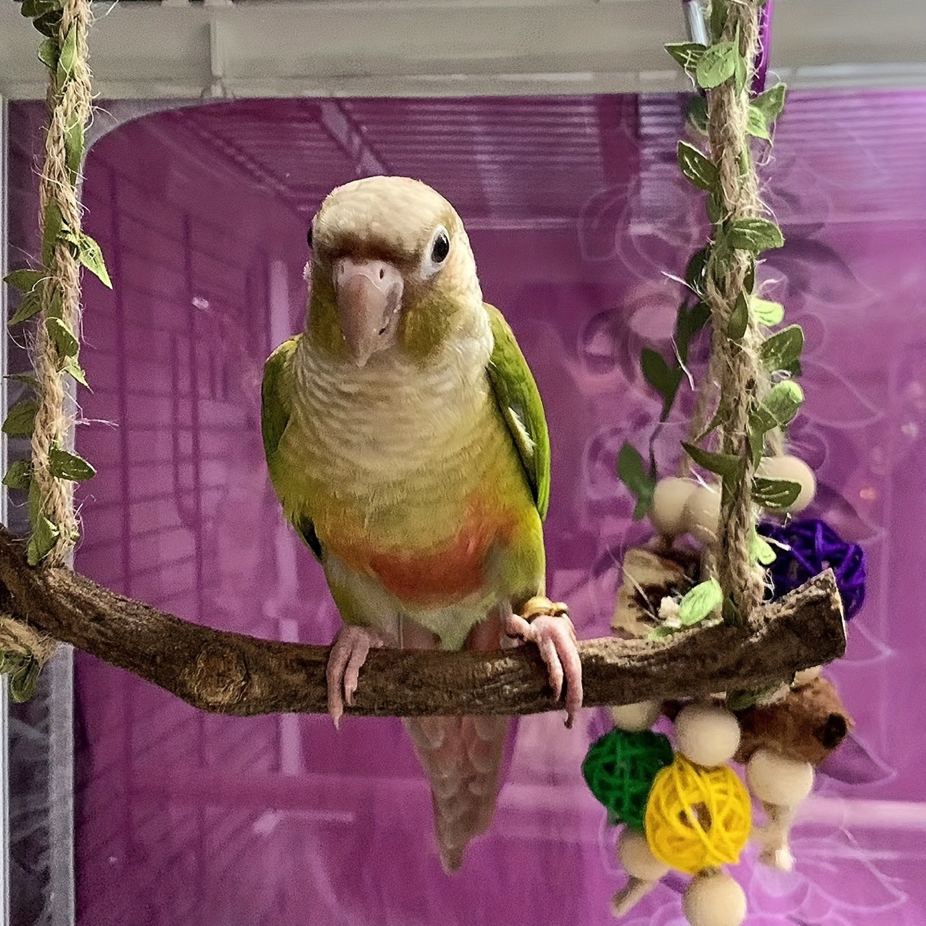 Solid Wood Parrot Swing Toy for Peony Cockatiel Budgerigar