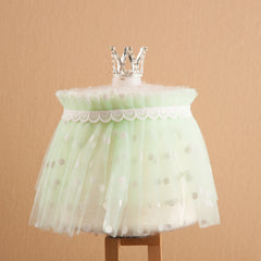 2pcs Crown Green Lace Skirt Newborn Photography Set