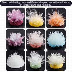 Crystal Planting Experiments Science Toys DIY Growable Crystals Set