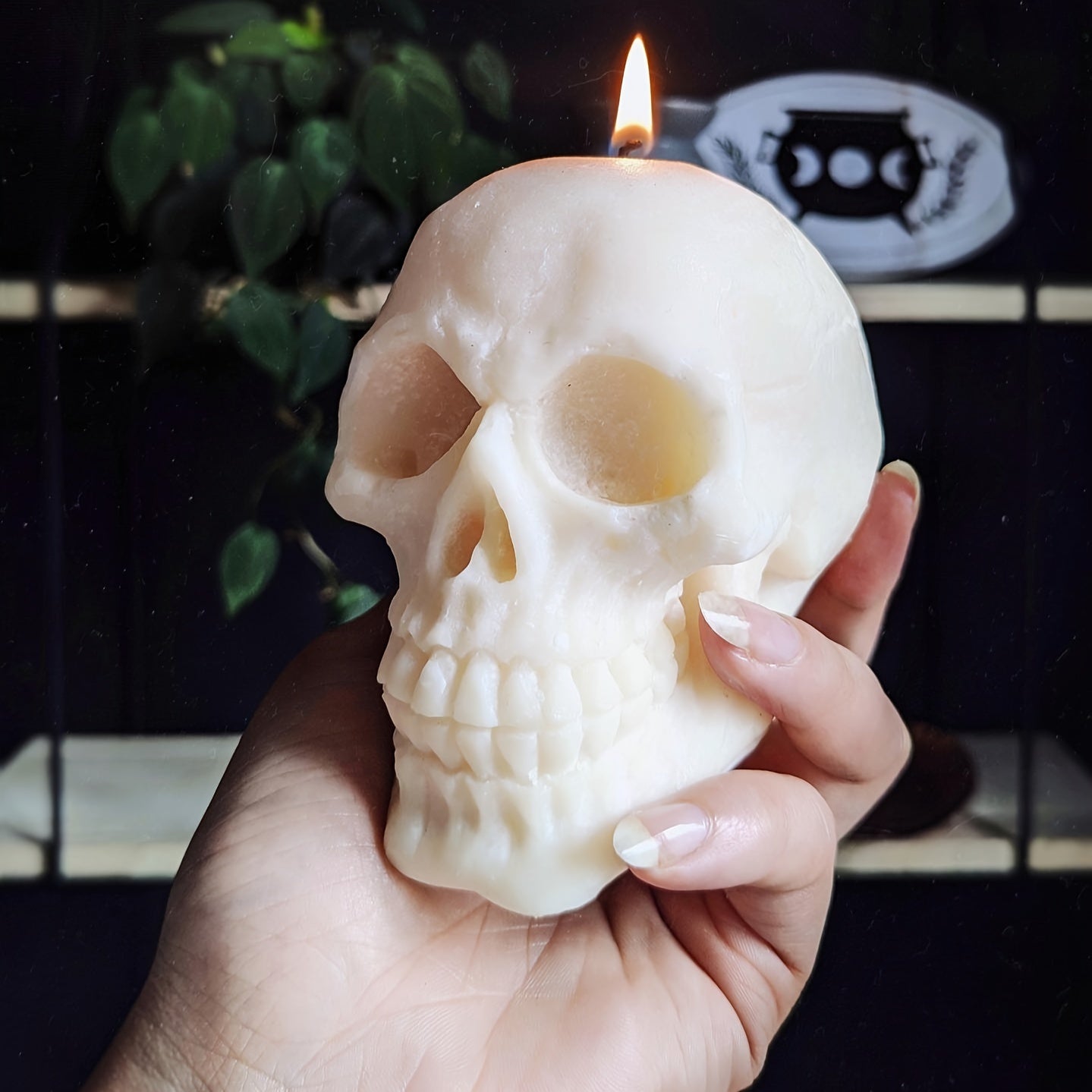 Large 3D Skull Silicone Mold for Resin Casting