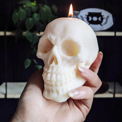 Large 3D Skull Silicone Mold for Resin Casting