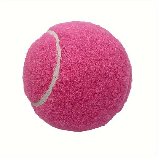 4pcs Tennis Practice Balls with Mesh Bag - Beginners