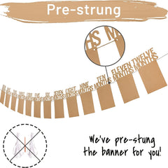 1st Birthday Photo Banner: Monthly Milestone Celebration