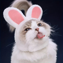Plush Cat Headgear with Bunny Ears for Pet Cosplay