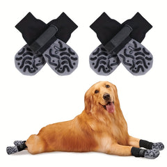 img_4681527