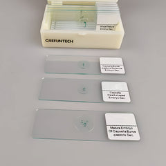 10pcs Plant Growth Stages Histology Slides Set Science Slice High Plant 10 Set