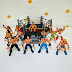 Mini Wrestling Action Figures and Accessories with 12 Wrestlers