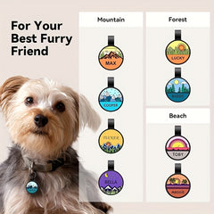 img_5215902