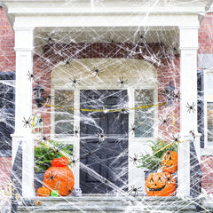 Halloween Spider Web Decoration