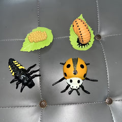 Realistic Ladybug Growth Cycle Model Toy Educational Teaching Aid