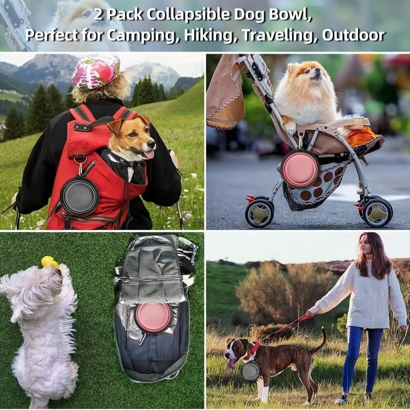 Portable Dog Bowl for Outdoor Travel - Small Pet Feeding Dish