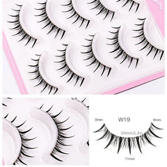 Sunflower Fairy False Eyelashes Transparent Stem