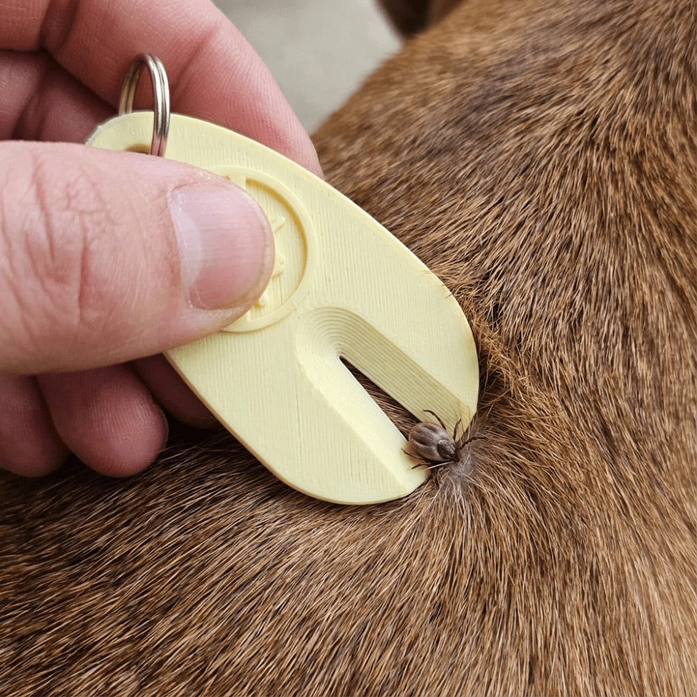 img_6357632