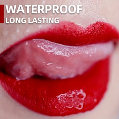Waterproof Lipstick Long Lasting Lip Plumper Gloss