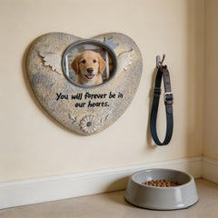 img_7356072