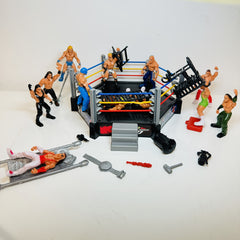 Mini Wrestling Action Figures and Accessories with 12 Wrestlers