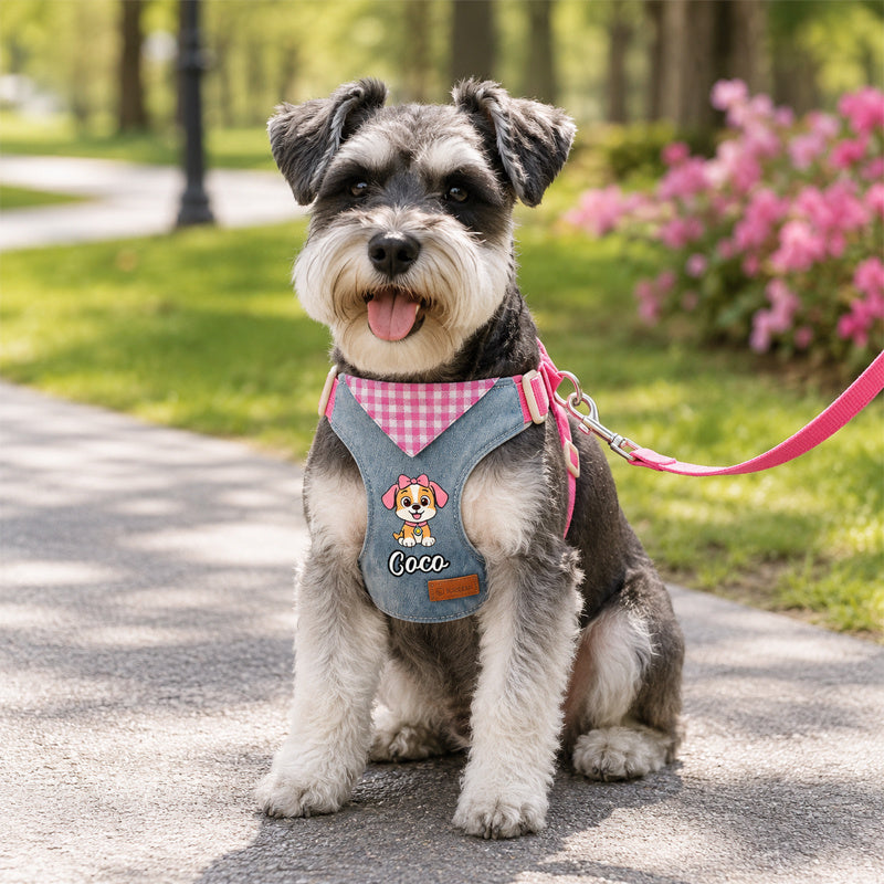 img_5202980