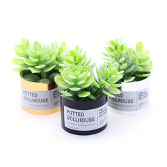 3pcs Mini Succulent Potted Plants DIY Mini Garden
