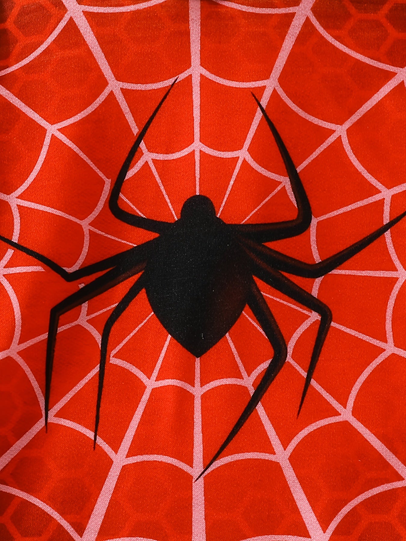 Spider Pattern Toddler Boy's 2pcs Hoodie & Sweatpants Set