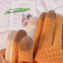 3 Pairs Thickened Touch Screen Winter Gloves
