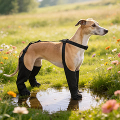 img_5414745