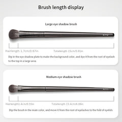6 pcs Eye Makeup Brush Set with Angled Brow Precision and Detail Brushes