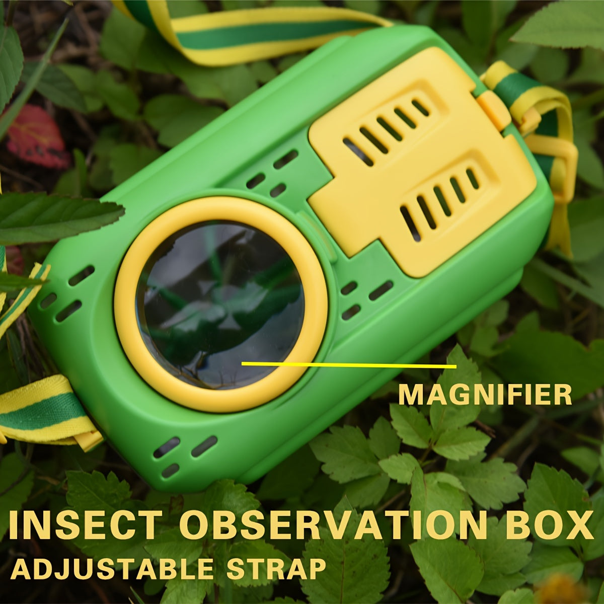 Outdoor Insect Observation Box with Magnifier Halloween Gift