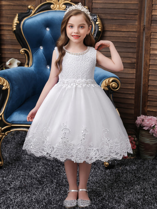 Girls Princess Dress Flower Girl Dress Dress For Christmas Evening Party Birthda