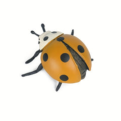 Realistic Ladybug Growth Cycle Model Toy Educational Teaching Aid