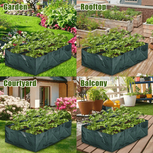 1pc Raised Garden Bed for Growing Herbs & Vegetables