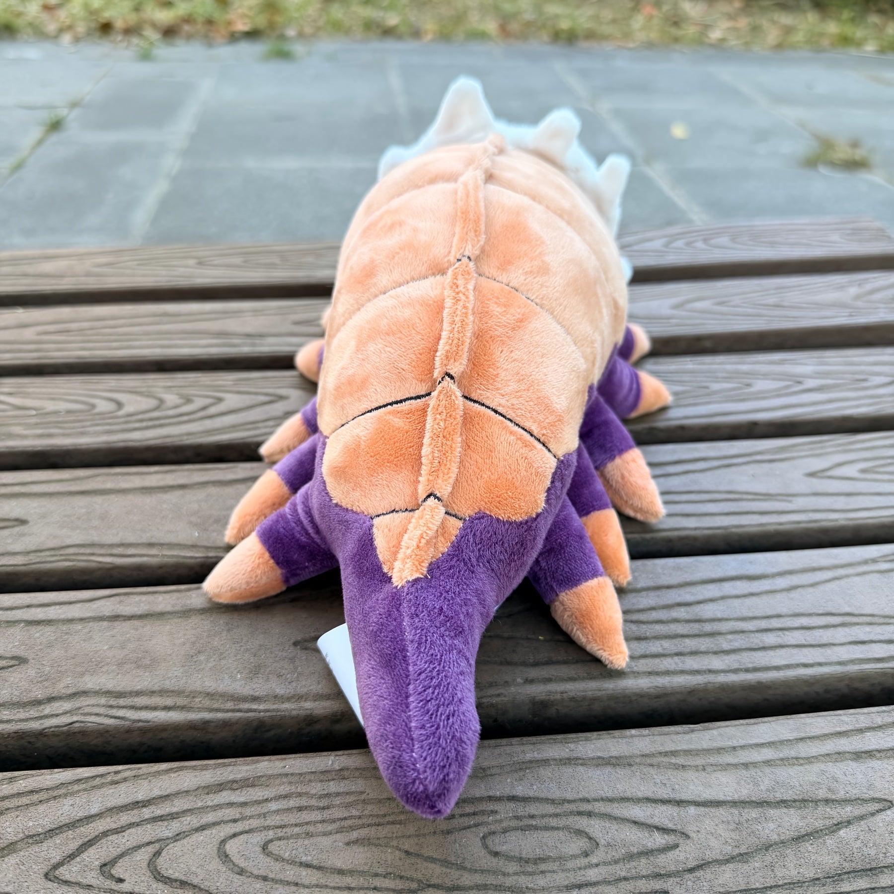 img_5348797