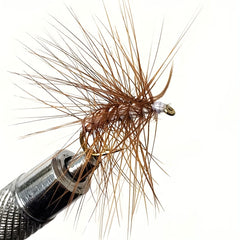 10pcs Brown Elk Caddis Nymph Fly Bait for Trout Fishing