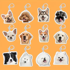 img_6569120