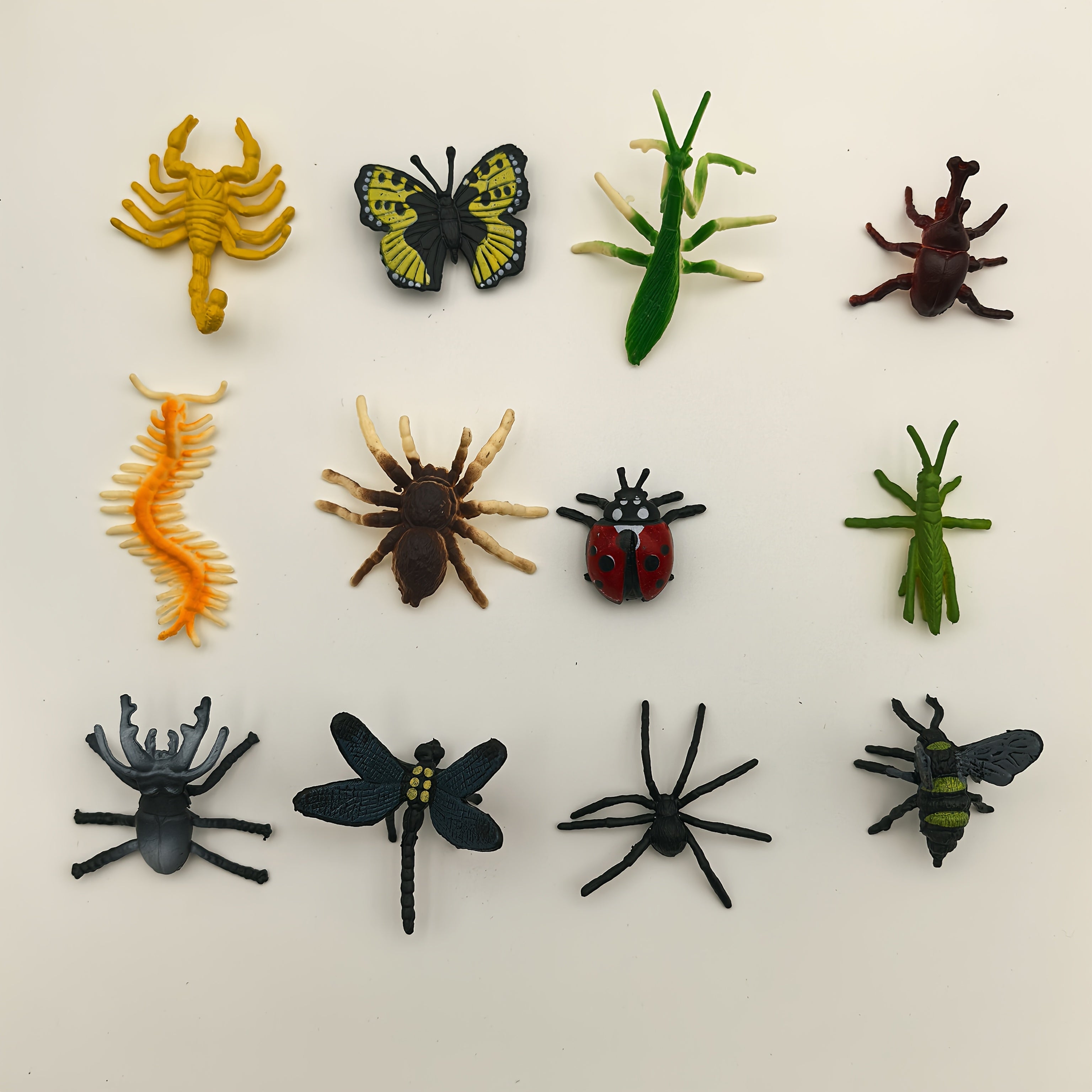 Colorful Insect Models 12pcs Spider Ladybug Beetle Ornaments