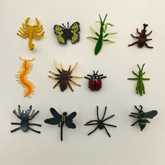 Colorful Insect Models 12pcs Spider Ladybug Beetle Ornaments