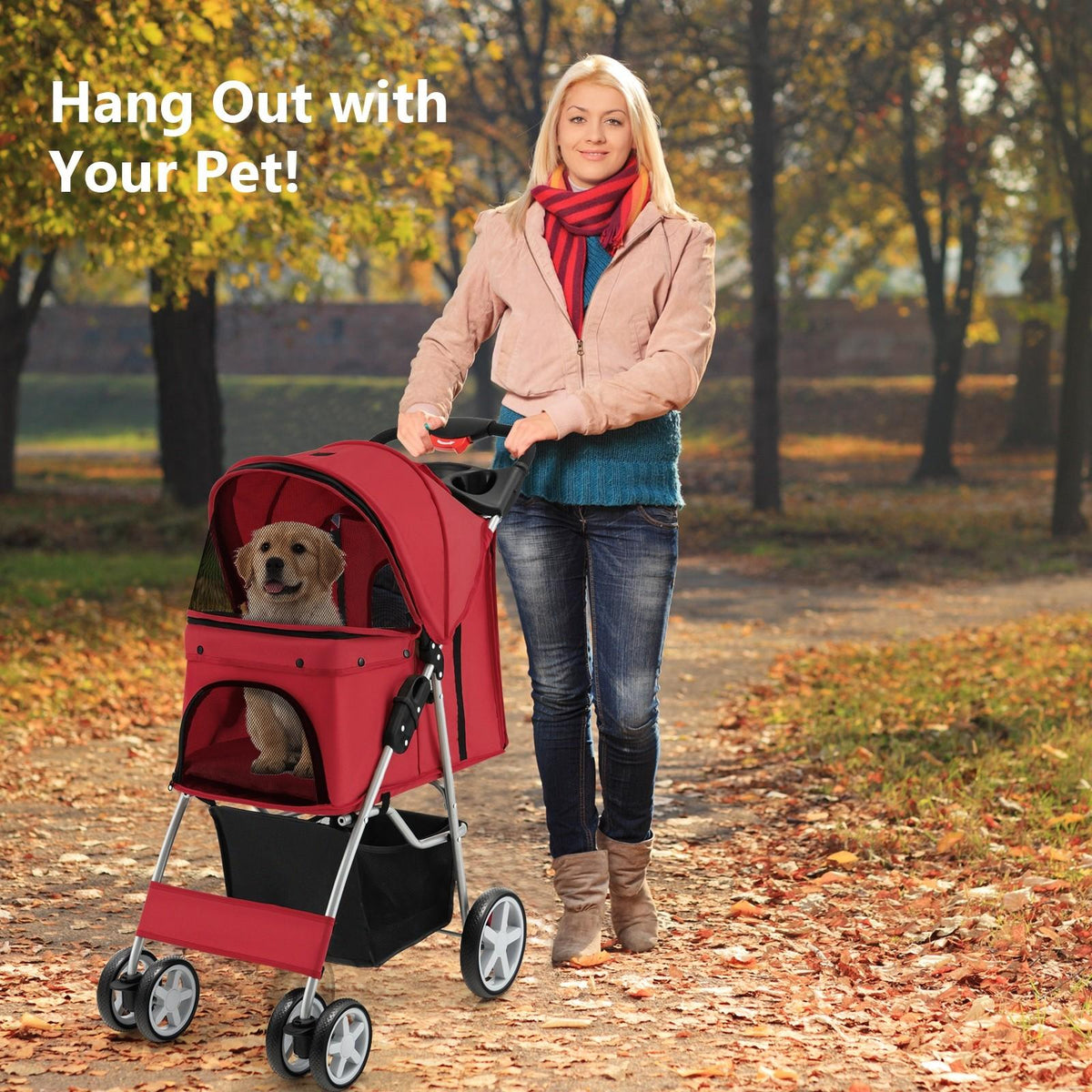 img_7354204