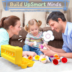Educational Egg Matching Game and Shape Sorting Puzzle for Toddlers