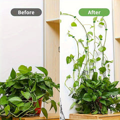 100pcs Plant Climbing Wall Clip Self-Adhesive Hooks