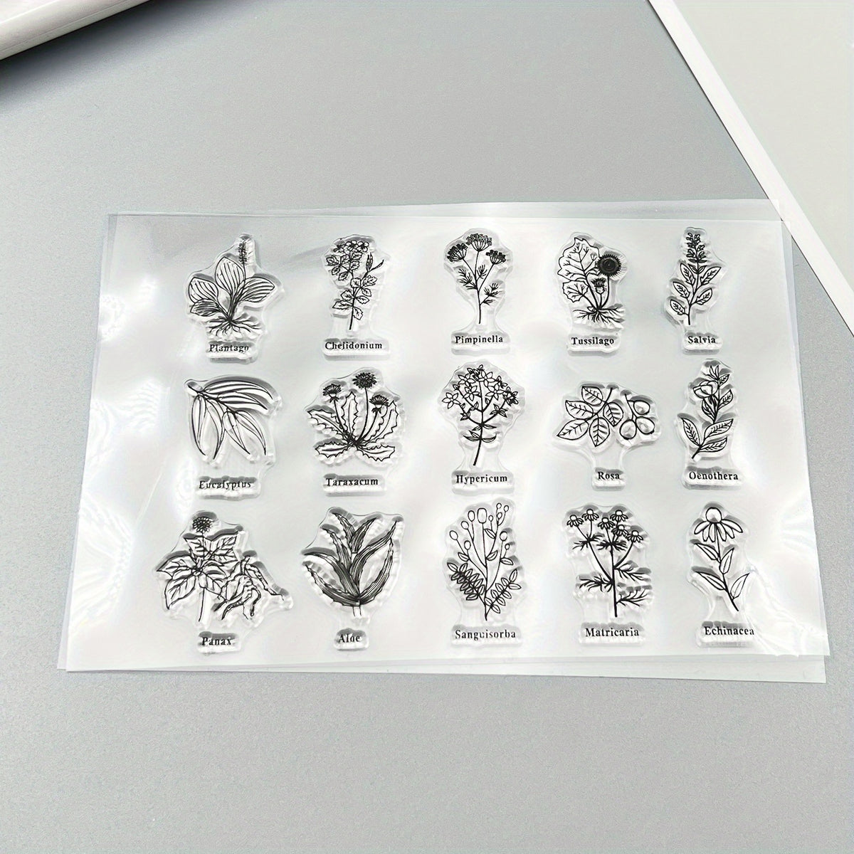 Transparent Plant Silicone Stamp for DIY Handbook Seal