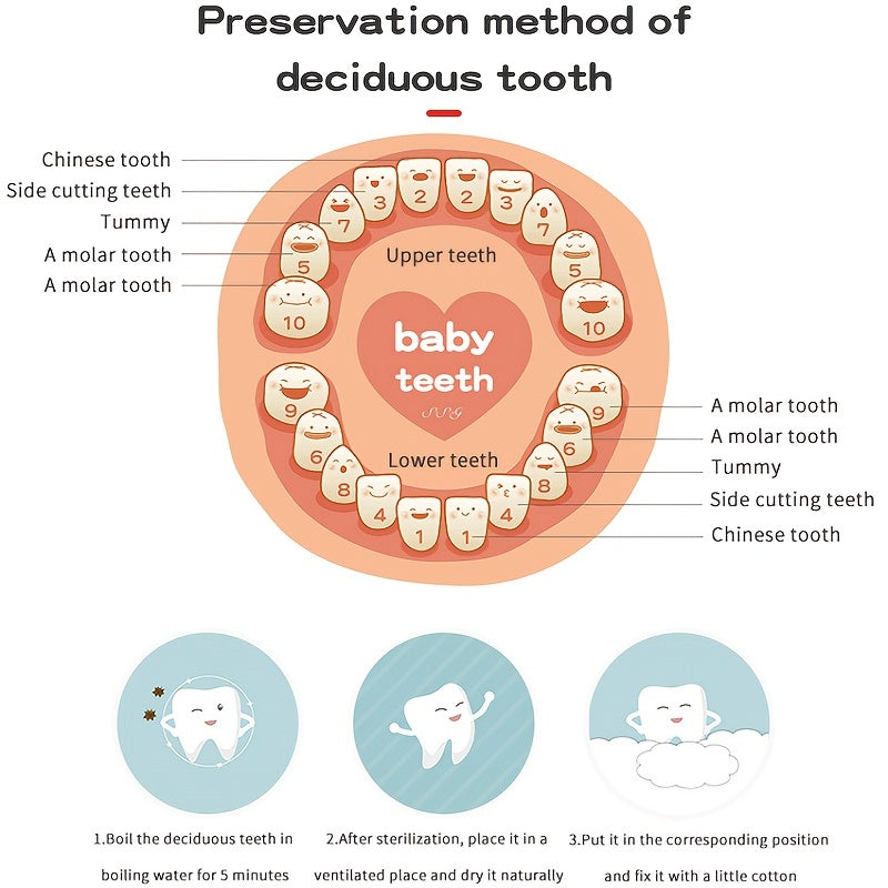 Wooden Baby Tooth Box Keepsake Organizer