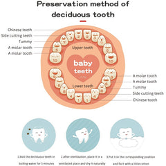 Wooden Baby Tooth Box Keepsake Organizer