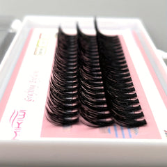 60 Cluster 40D C Curl Eyelash Extensions 10-16mm Soft Natural Look DIY