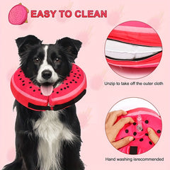 Inflatable Dog Donut Collar for Recovery After Surgery