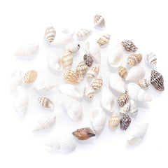 50Pcs Multicolor Conch Shell Beads for Jewelry Making DIY